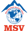 msv-group